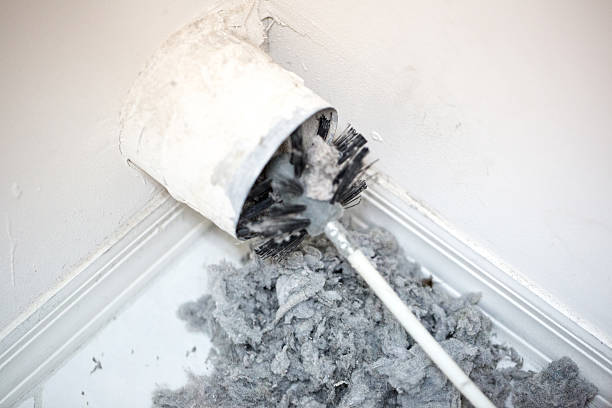 Best Air Duct Cleaning Near Me  in Vega, TX